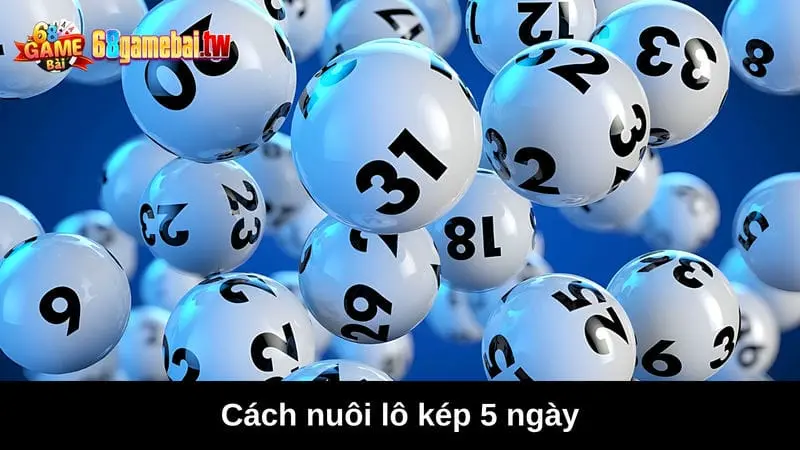 Nuôi lô kép 5 ngày đạt tỷ lệ con số cực cao từ 68 game bài