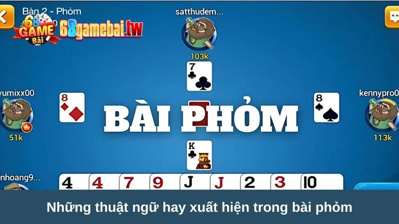 Những thuật ngữ hay xuất hiện trong bài Phỏm là gì